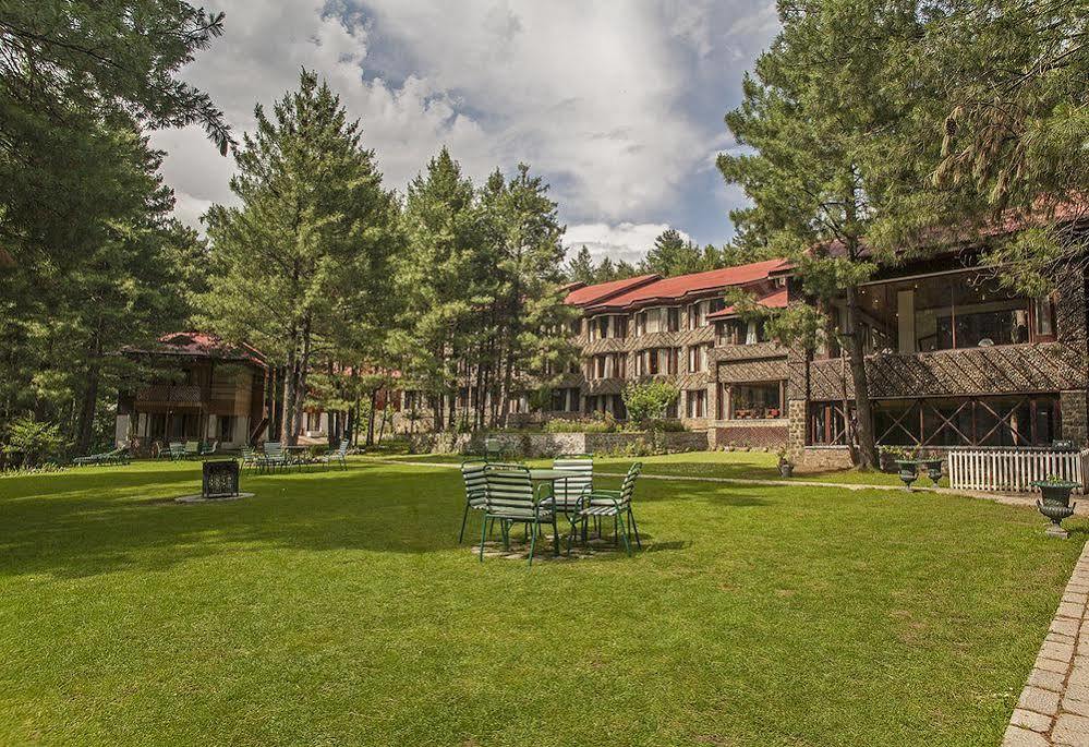 Hotel Senator Pine N Peak à Pahalgām Extérieur photo
