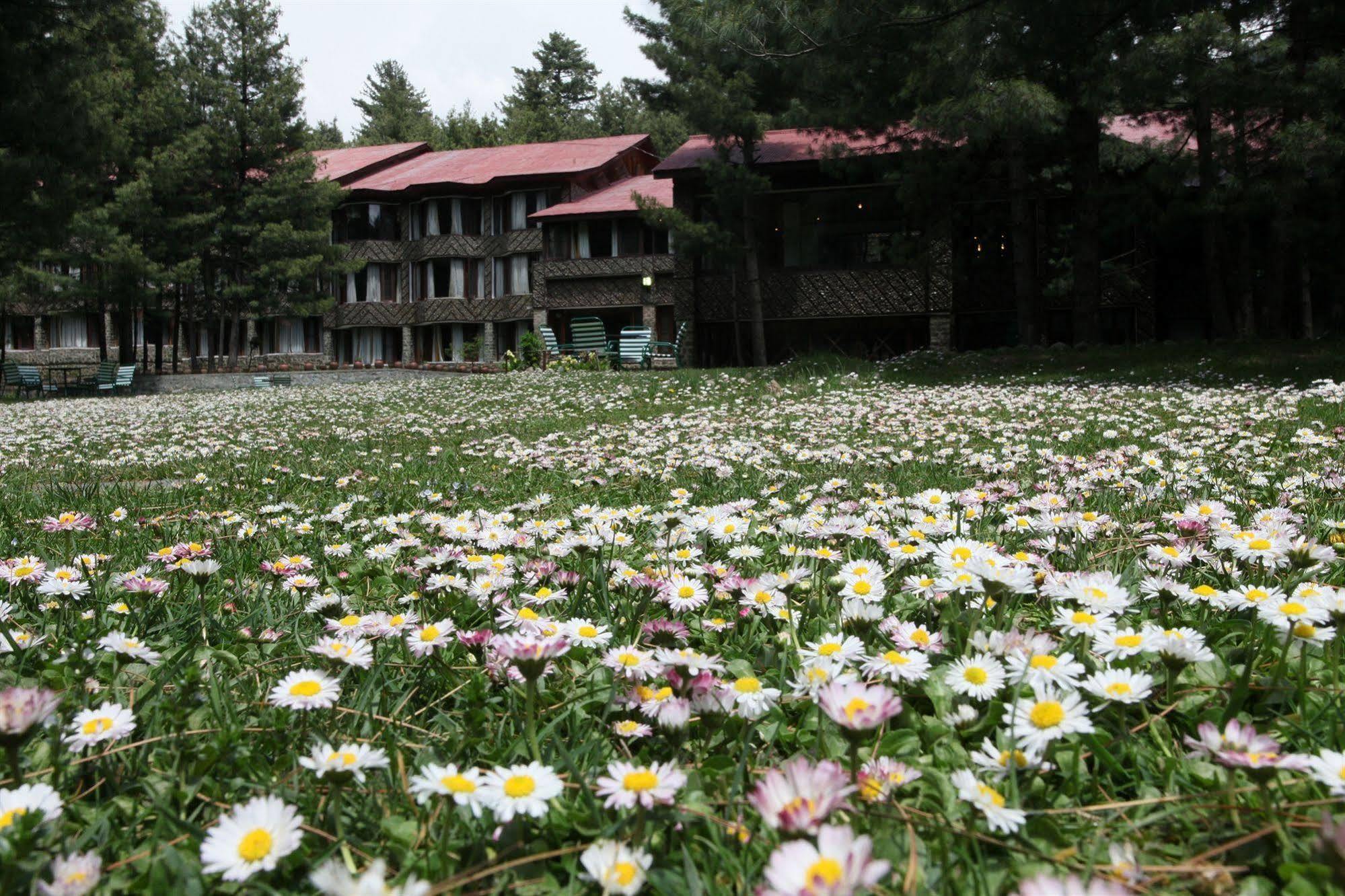 Hotel Senator Pine N Peak à Pahalgām Extérieur photo